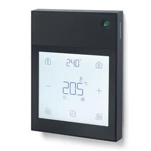 Control unit with Display and temperature sensor, black